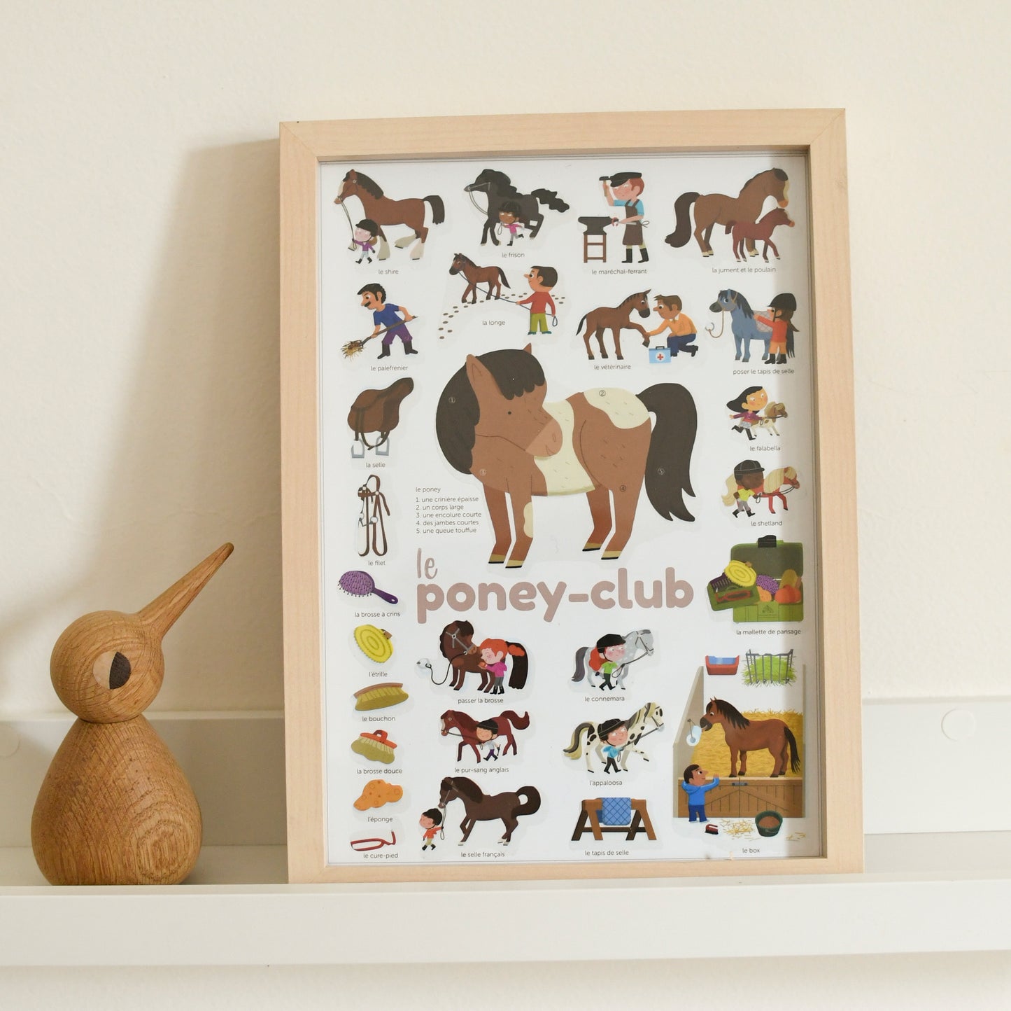 Mini Pony