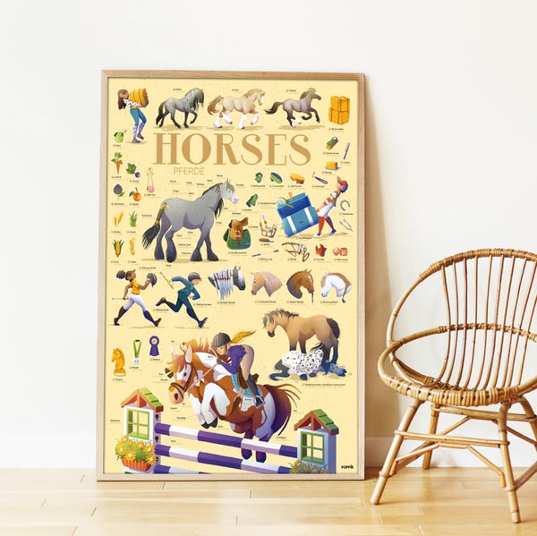 Discovery Horses