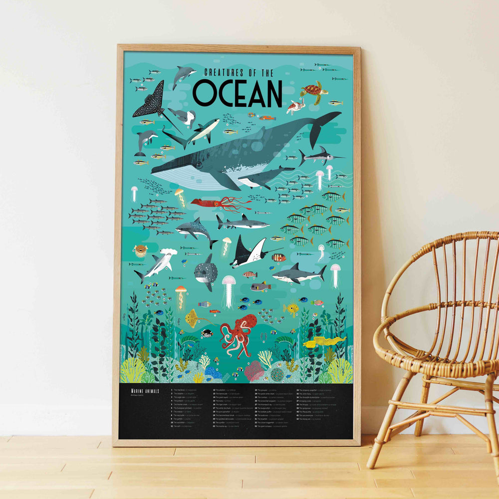 Oceans of Discovery