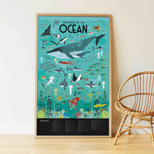 Oceans of Discovery