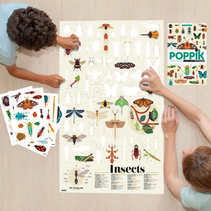 Discovery Insects