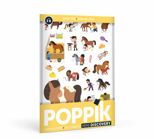 Mini Pony