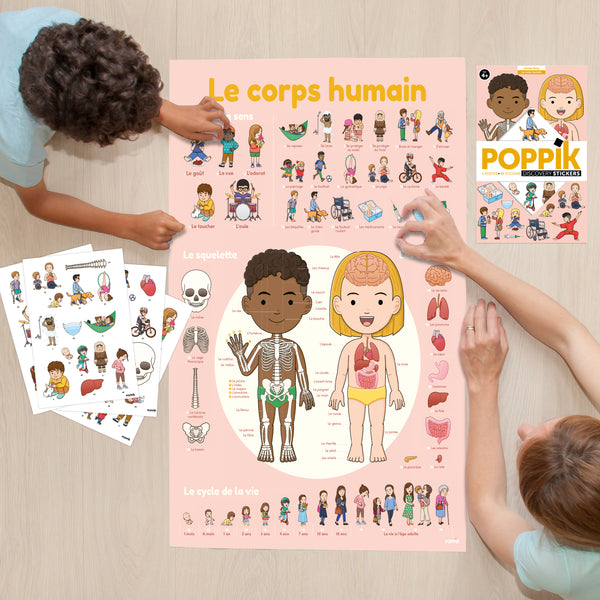 Discovery Human Body