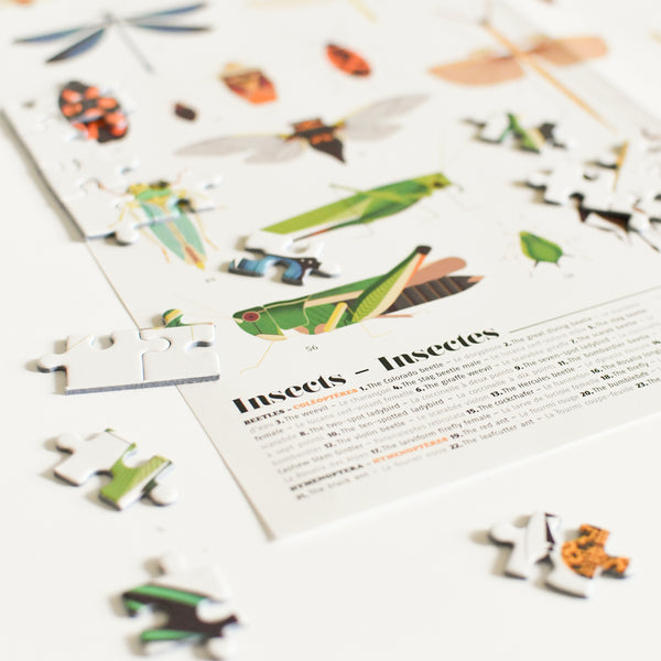 Puzzle Insects