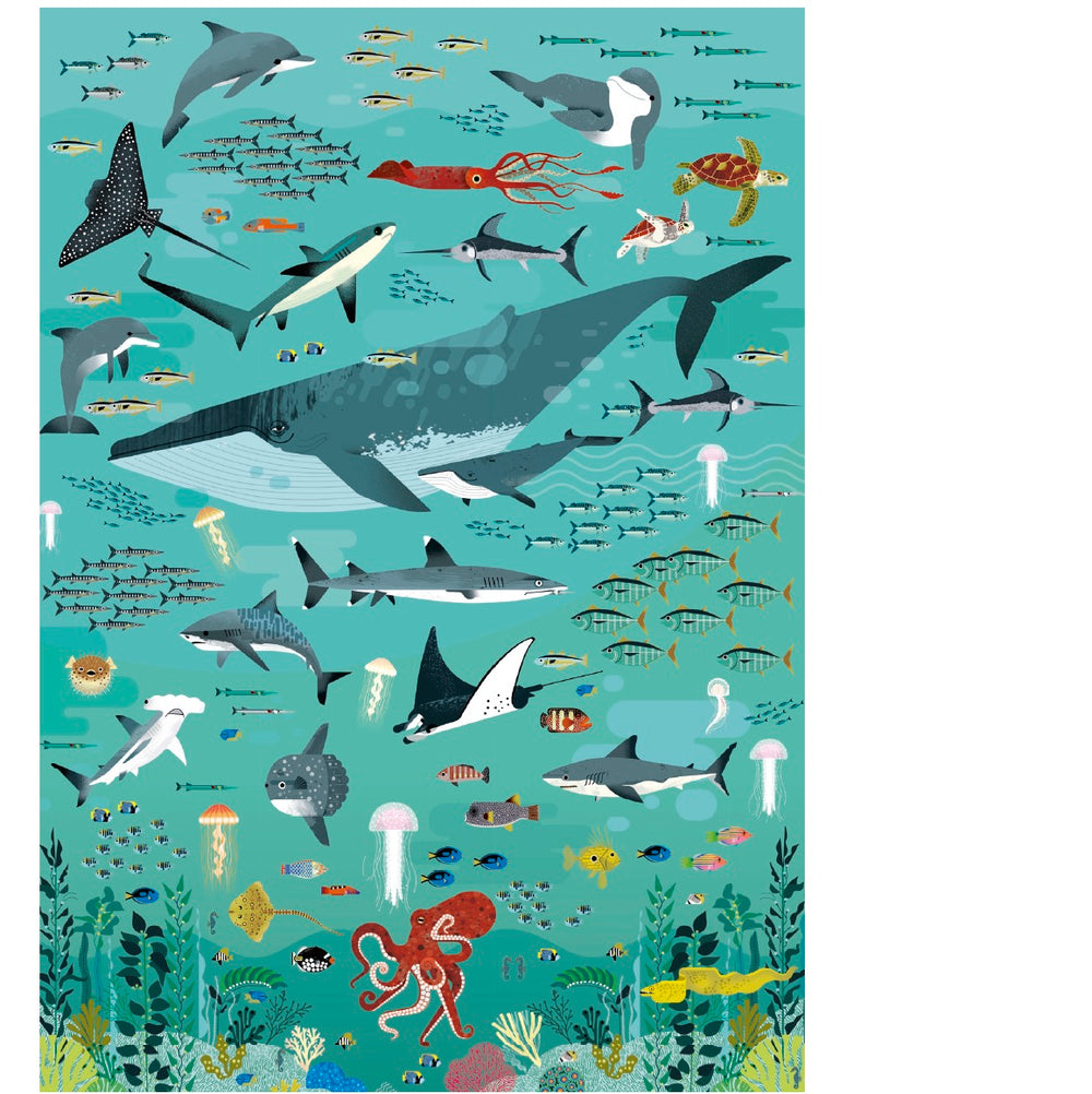 Puzzle Oceans