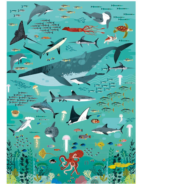 Puzzle Oceans